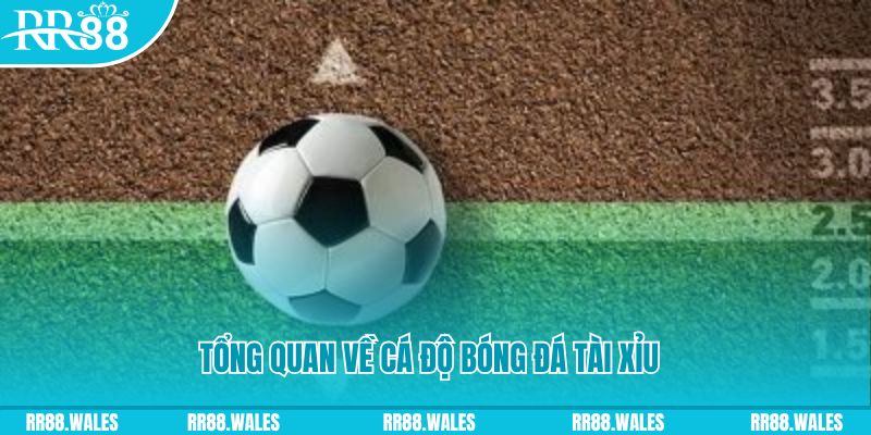 w88 ax xổ số miền trung thứ tư